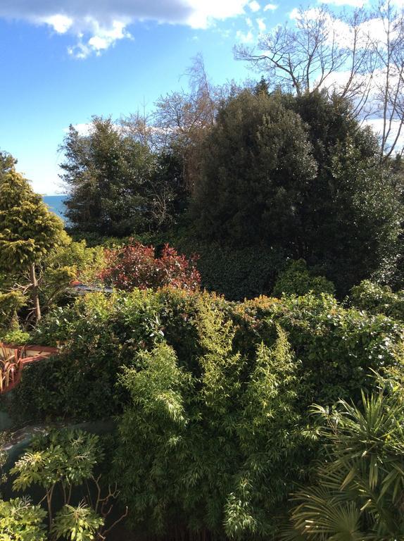 The Coach House Bed and Breakfast Dawlish Buitenkant foto